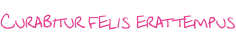 Curabitur felis erat tempus
